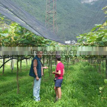 High Effective Organic Fertilizers for All Types of Crops and Soil photo-3