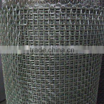 galvanized crimped mesh