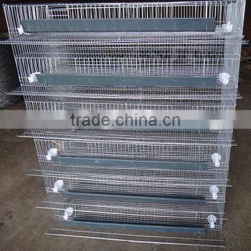 Automatic Quail Cages/ Feeding System/ Drinking System