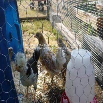 High Quality Galvanized or PVC Hexagonal Wire Mesh photo-3