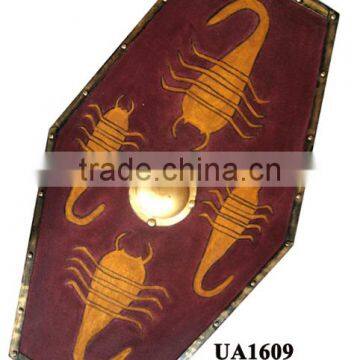 Roman Shield photo-2
