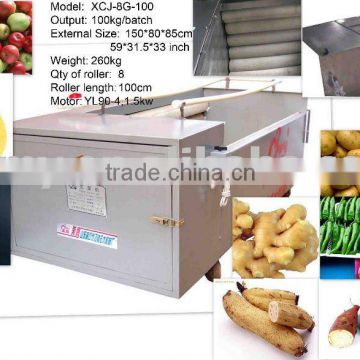 XCJ-8G Vegetable Washer