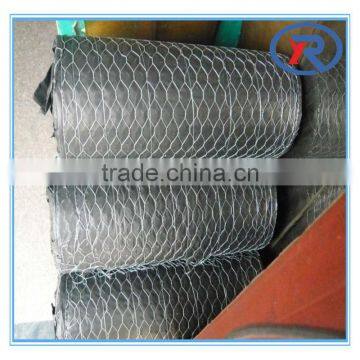 China Good Quality Cheap Price Fish Cage Mesh Hexagonal Wire Mesh photo-4