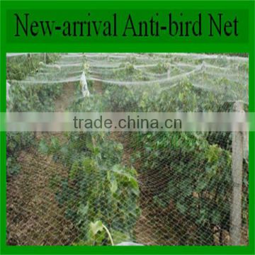 Low price pe bird nets for catching birds