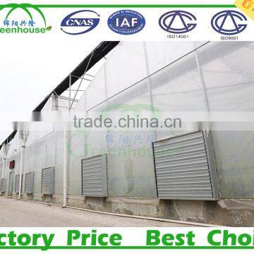 200 Micron uv Resistant Plastic Film Greenhouse for Sale photo-3