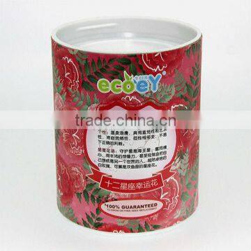 Fashion Twelve constellations lucky flower potted plant -Kang Naixin