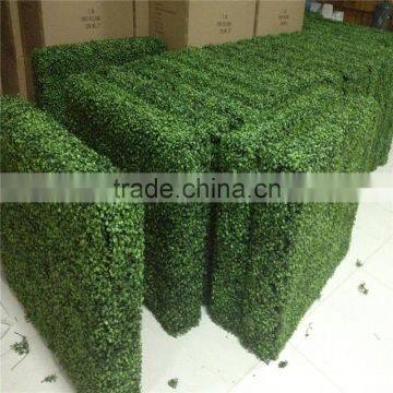 China Wholesale Plastic Fake Boxwood Hedge and Garden Fence photo-2