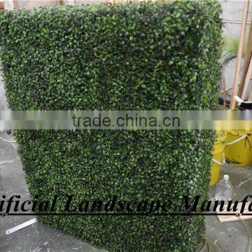 Green Grass Mate Boxwood Hedge Fence