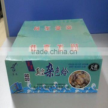 Frozen Cooked Variegated Clam Japanese Standard photo-2