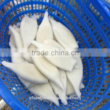 good quanlity and best price frozen squid tube