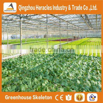 Heracles Trade Assurance Agricultural Greenhouse Skeleton