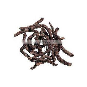 Piper Longum Dry Extract photo-4