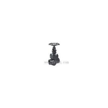 Forged Steel Globe Valve