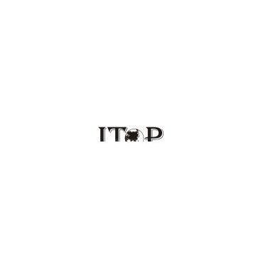 ITOP GROUP LIMITED