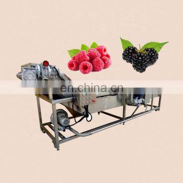 Orange Lemon Carrot Cleaner Machine Fruits and Vegetables Cleaning Equipment Vegetable Washer