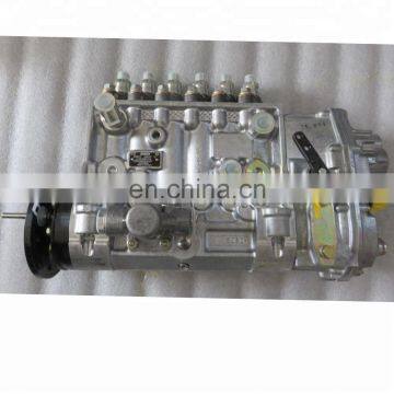 Genuine Injection Pump 0402696810 0 402 696 810 0402696810 PE6P120A320LS7977 04250654