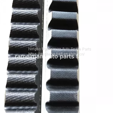 Auto v belt toothed belt OEM AVX13X1375/761499/0019976792/645641/5000168026 cogged v belt fan belt Ramelman v belt