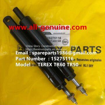 TEREX 15275116 AIR CYLINDER ASSY TR100 TR70 TR60 TR70 MT4400AC OFF HIGHWAY RIGID DUMP TRUCK MINING HAULER TRANSMISSION
