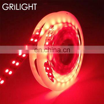 The best selling products double row rgb 5050 led strip 120leds/m for landscape