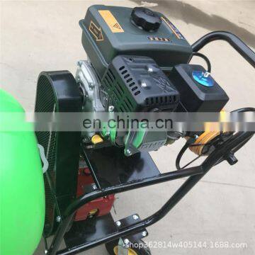 Own Engine Trolloy Community Garden Air Disinfection Fogging Spray Machine photo-3