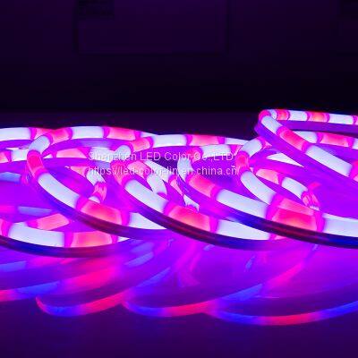 Factory Supply Decoration Lights Digital Rgb LED Neon Flex Light Strip photo-4