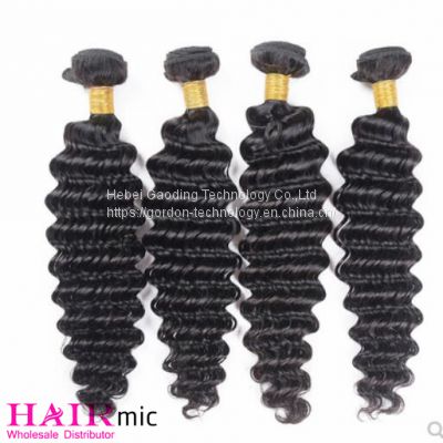 Natraul Color Deep Wave Human Hair  Bundle Hair Weft