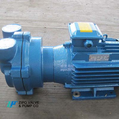 ZIPO 2BV Water Circulation Vacuum Pump