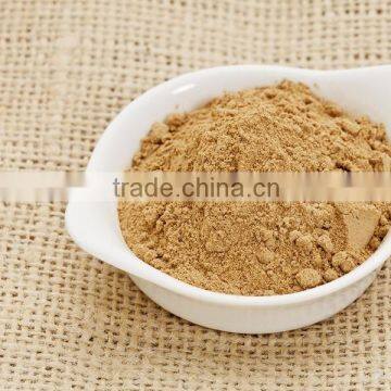 Superior Quality Amla Powder For Supply