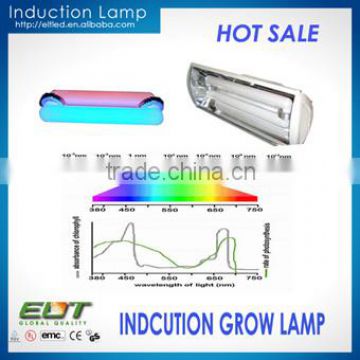 High quality magnetic bi-spectrum 300w 400w induction lamp grow