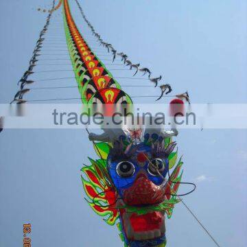 cheaper dragon kite