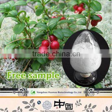 natural bearberry extract/bearberry leaf extract ursolic acid/bearberry leaf extract arbutin