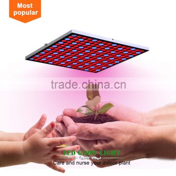 2016 Hot Selling alibaba express SMD panel led grow light