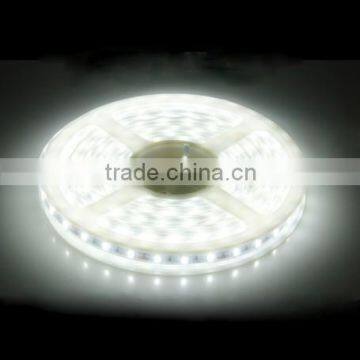 SDSLED Natural White DC12V IP68 SMD5730 60LED/m led strip light