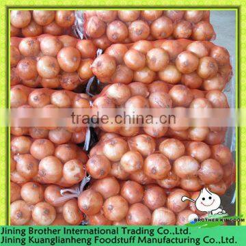 10kg mesh bag fresh yellow onion