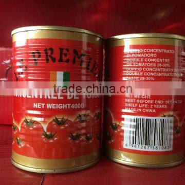 Tomato Paste 22/24 Concentration