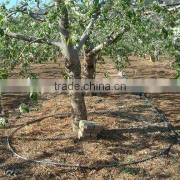 Drip Irrigation for Fruit Tree