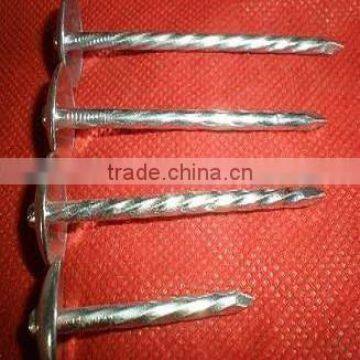 3.8mm x65mm Galvanized Roofing Nails With Umbrella Head