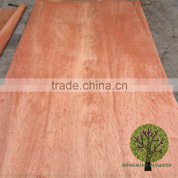 HOT SALE! BINTANGOR VENEER for package plywood