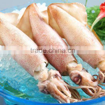 frozen loligo squid