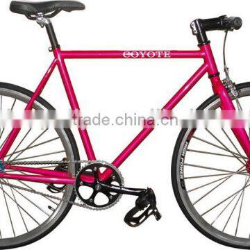 700C Colourful Fixed Gear Bike Racing Bike