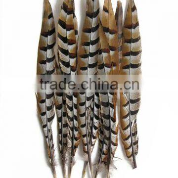 ZPDECOR Wholesale Top Selling Raw 45-50cm Size Reeves Venery Pheasant Tail Feathers for Decorations photo-2