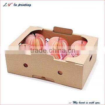 high quality fruit packaging boxes for apple in delhi made in shanghai