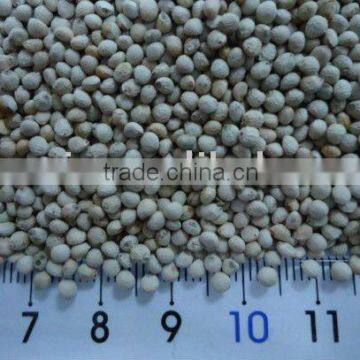 White Perilla Seeds