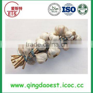 Fresh White Garlic Size :4.5-6.0 cm photo-6
