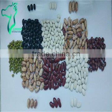 All kinds of kidney beans with great quality and best service, different markets products at stock 2014 crop