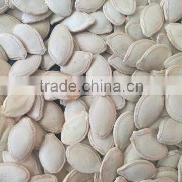 in shell pumpkin seeds kernel 10mm up