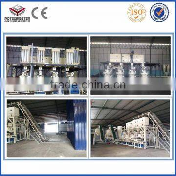 [ROTEX MASTER] 3T/H Made in China Professional Wood Pellet Plant Used Complete Pellet Line Manufacturer With CE Price photo-2