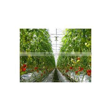 Vertical Greenhouse Growing System