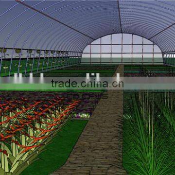 Polythene Film Greenhouse For Agriculture photo-2