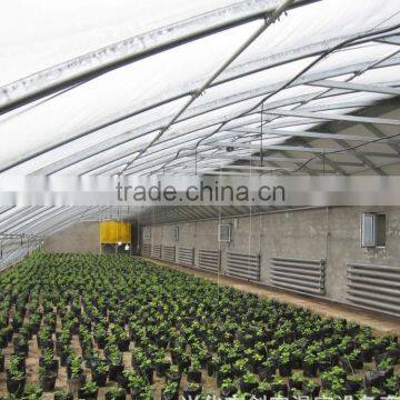 Agricultural Greenhouses photo-3